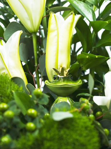 Royal Bayou Bloom w Collectible Frog Prince