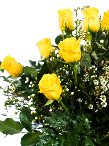 Premium Yellow Roses