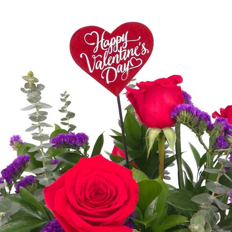 The Splendor - Valentine's Day Dozen Roses