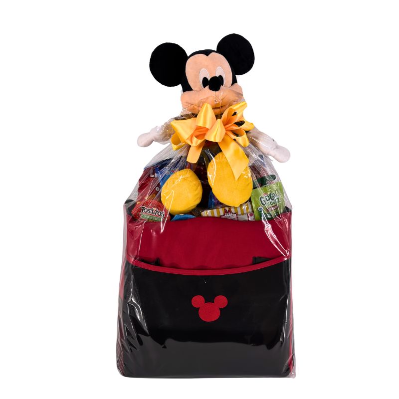 The Perfect Park Tote