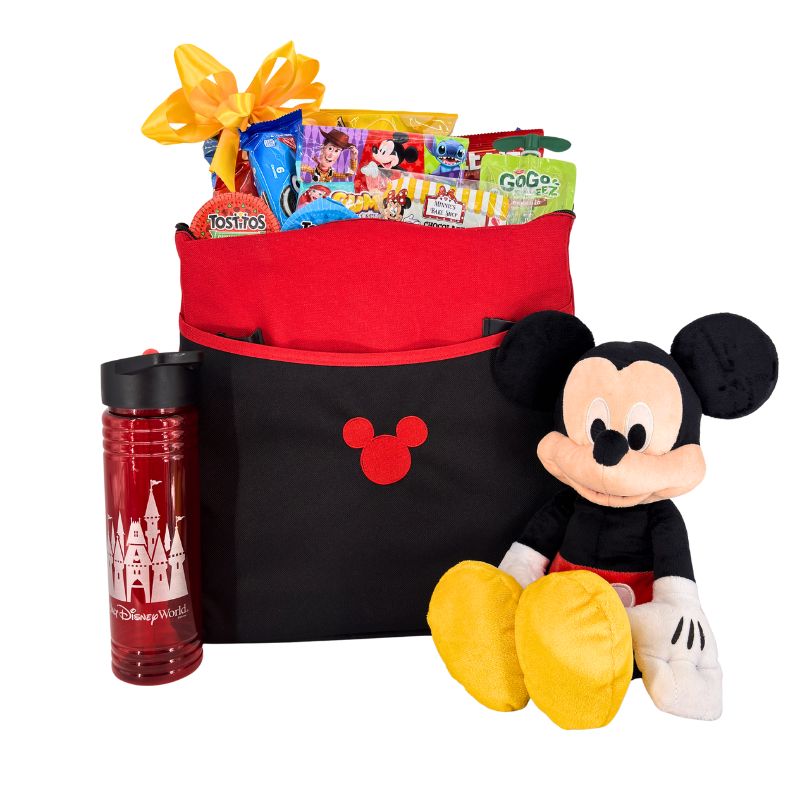 The Perfect Park Tote