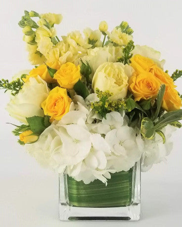 Lemon Meringue