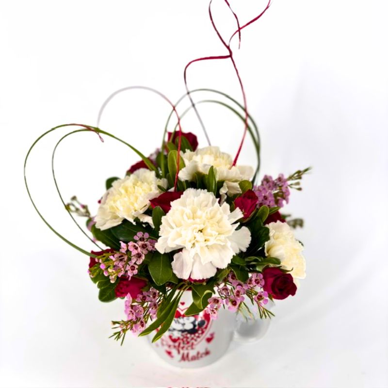 A Perfect Match Valentine's Day Mug