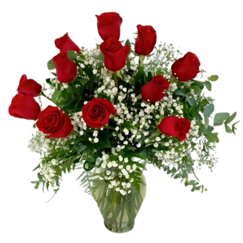 Premium Red Roses