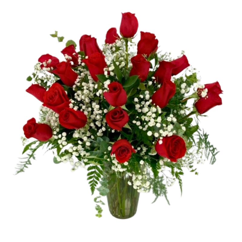 Premium Red Roses