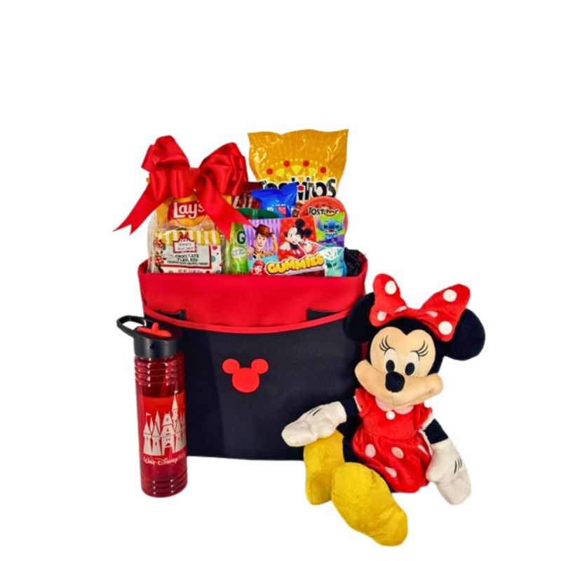 The Perfect Park Tote