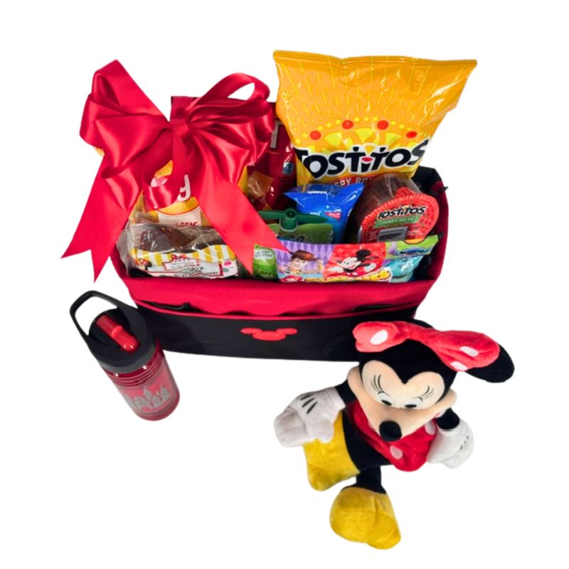 The Perfect Park Tote