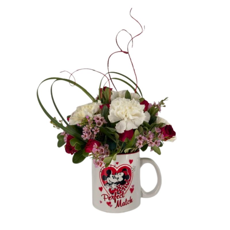 A Perfect Match Valentine's Day Mug